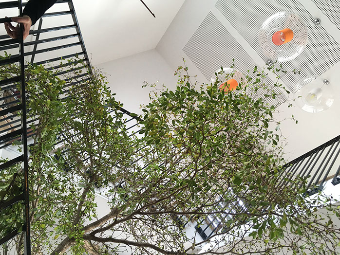 réalisation et conception de l'agence. Metz...